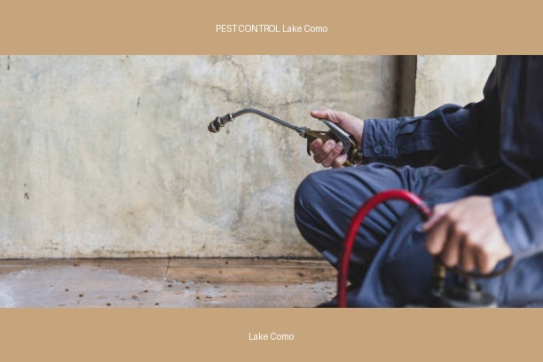 PEST CONTROL Lake Como